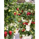 ��������� ������������ ������ F1 3 ��