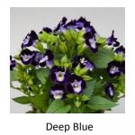    Deep Blue () 5 